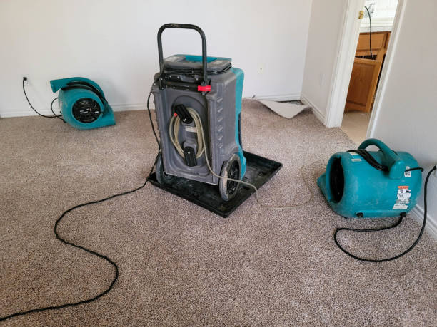 Best Emergency water damage restoration  in Big Rock, IL