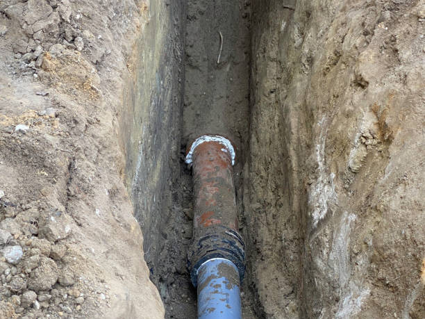 Best Mold removal after water damage  in Big Rock, IL