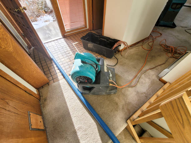 Best Water damage restoration specialists  in Big Rock, IL