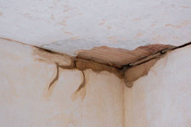 Best Water damage restoration near me  in Big Rock, IL