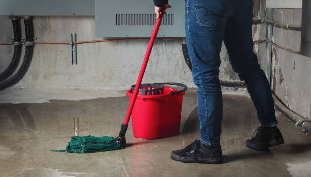 Best Basement water damage restoration  in Big Rock, IL