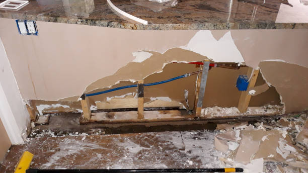 Best 24/7 water damage repair  in Big Rock, IL