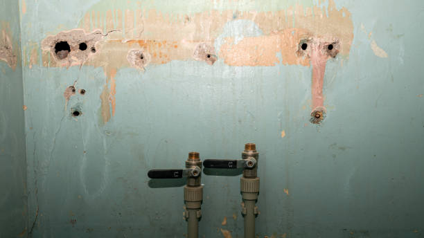 Best Sewage cleanup and water damage restoration  in Big Rock, IL