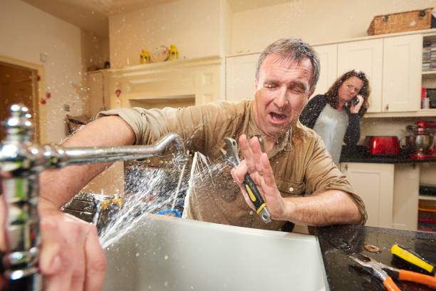 Best Residential water damage restoration  in Big Rock, IL